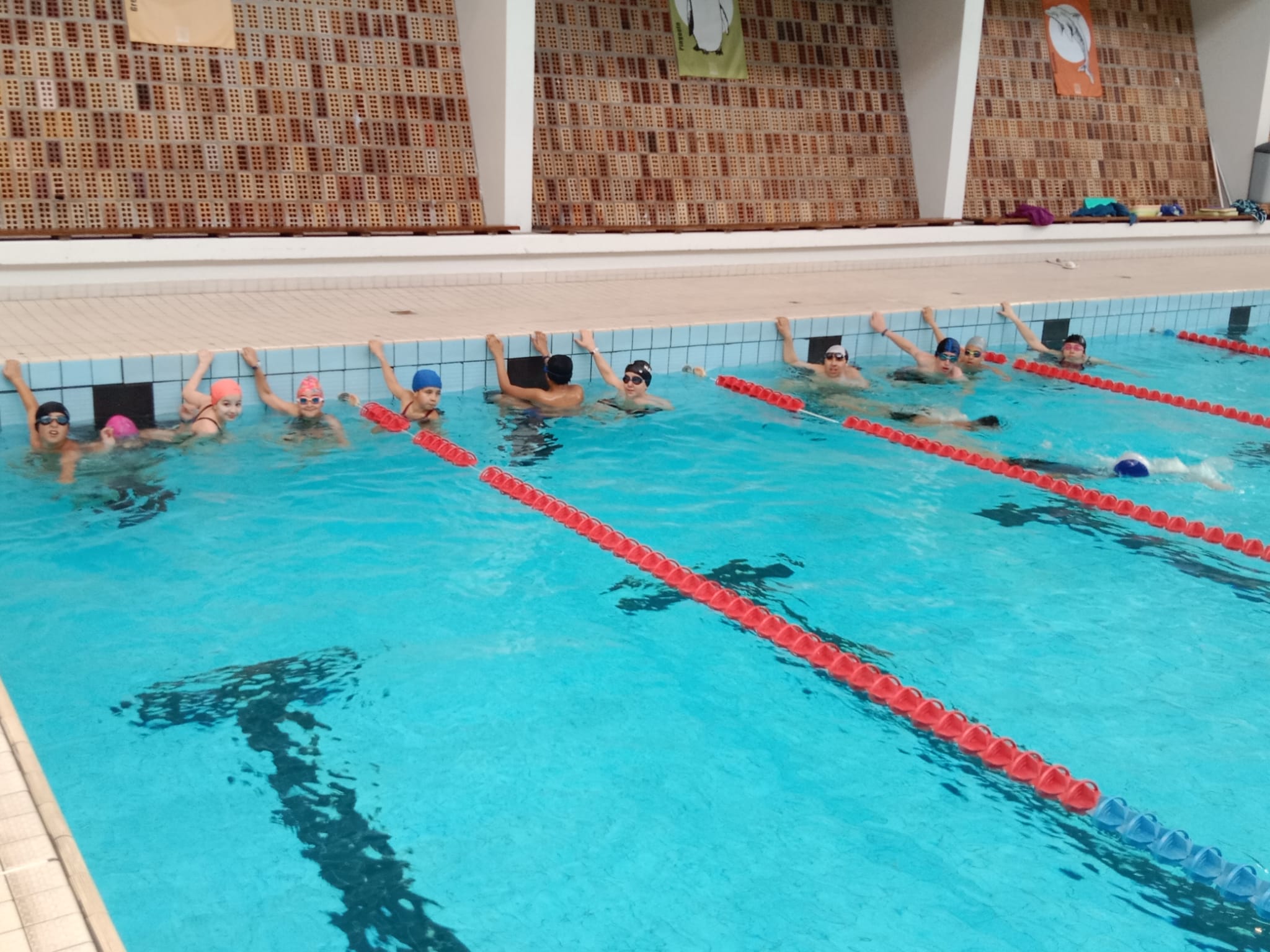 Natation ESC