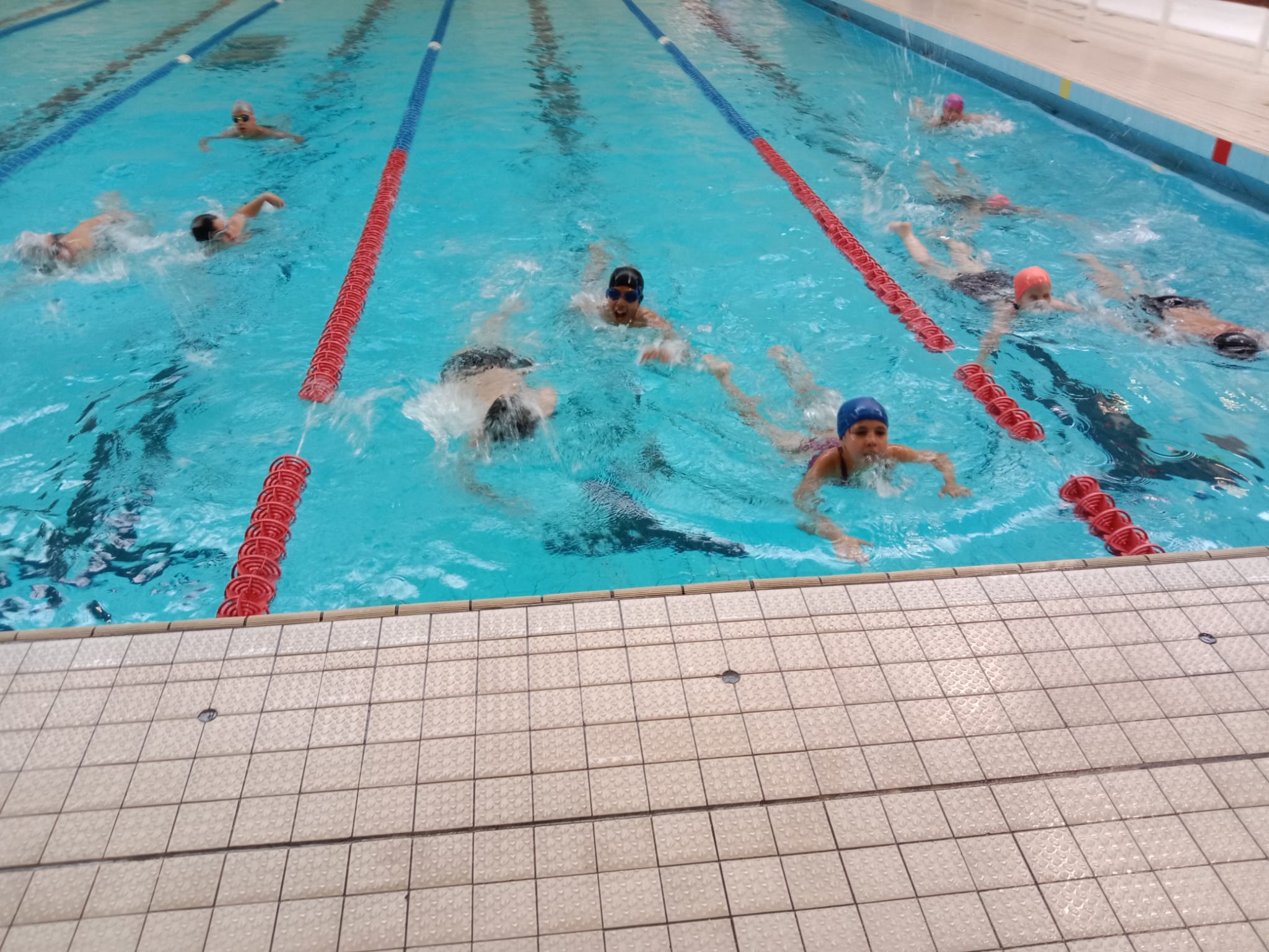 Natation ESC